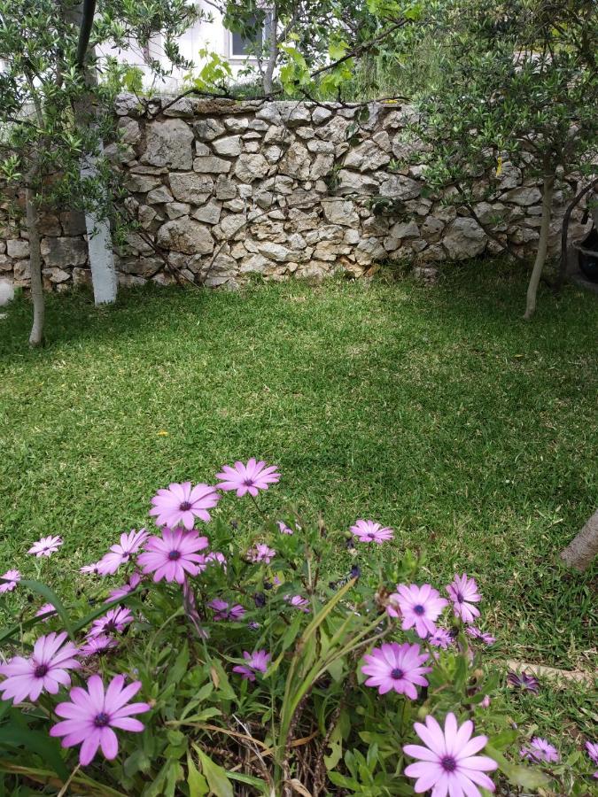 Altin Skrapari Guesthouse Ksamil Exteriér fotografie