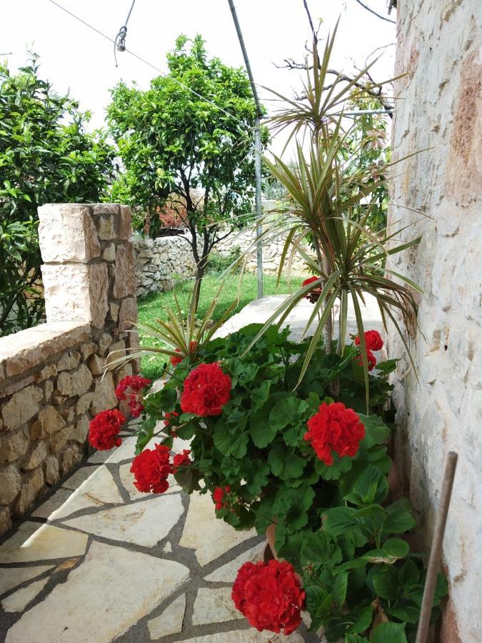 Altin Skrapari Guesthouse Ksamil Exteriér fotografie