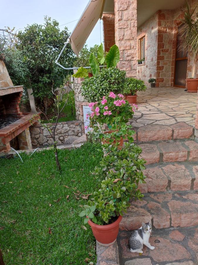 Altin Skrapari Guesthouse Ksamil Exteriér fotografie